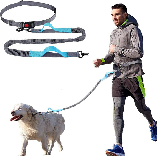 Hands Free Dog Leash, with Adjustable Waist Belt and Reflective Stitching, Dual Handle and Durable Bungee for Medium to Small Dogs, for Running, Walking, Hiking, Biking (Grey Blue)